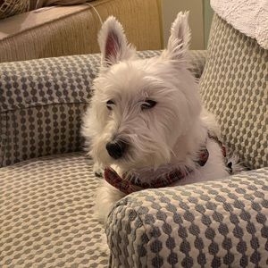 Meet your Posher, Becky